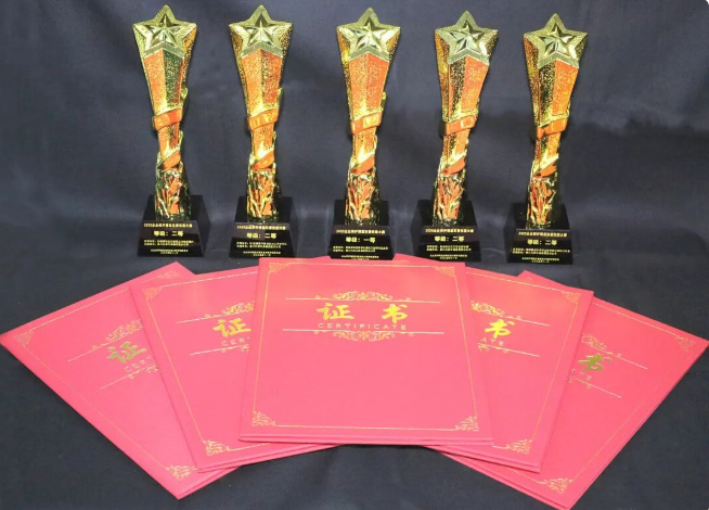 【集團(tuán)資訊】秦川集團(tuán)2025精益改善大賽斬獲多項(xiàng)殊榮!